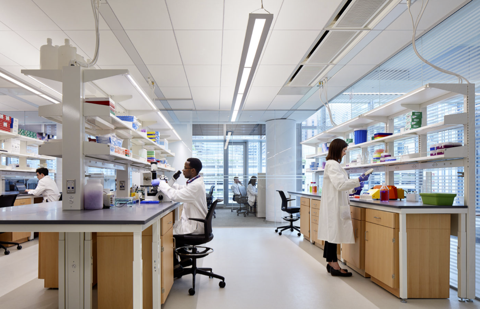 Lab