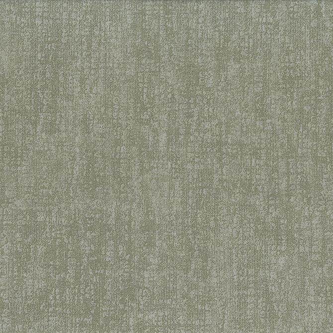 Shadow Cloth